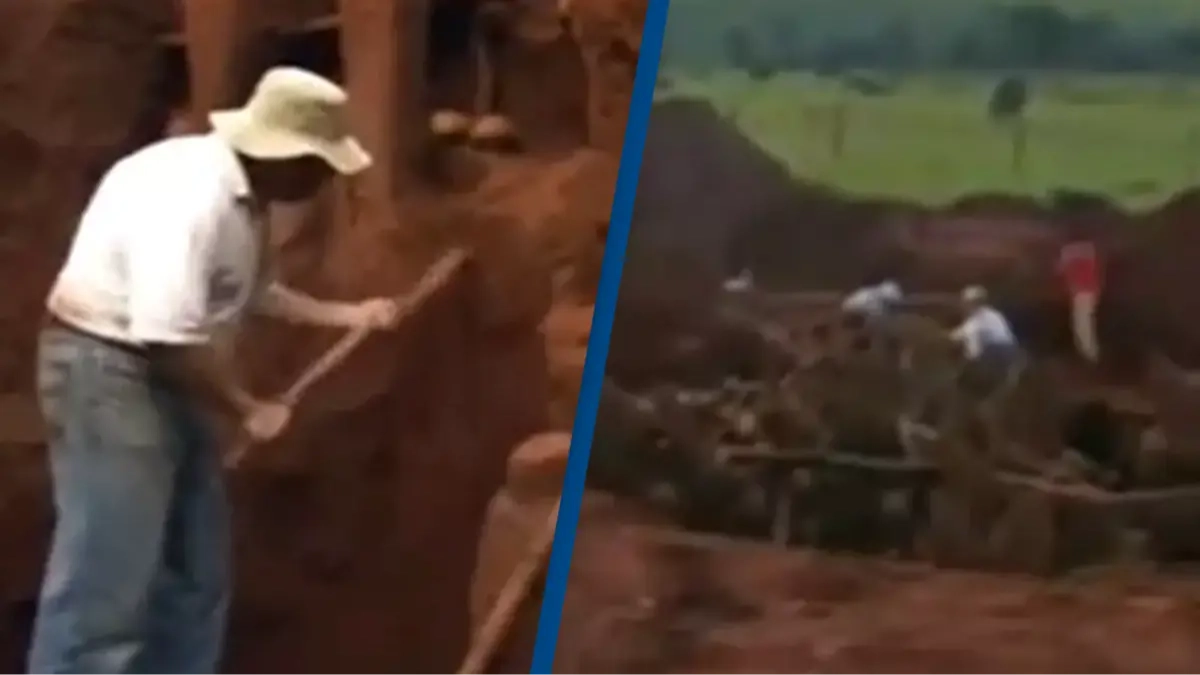 Scientists pumped tons of cement into abandoned ant hill and discovered astonishing mega-city in earth