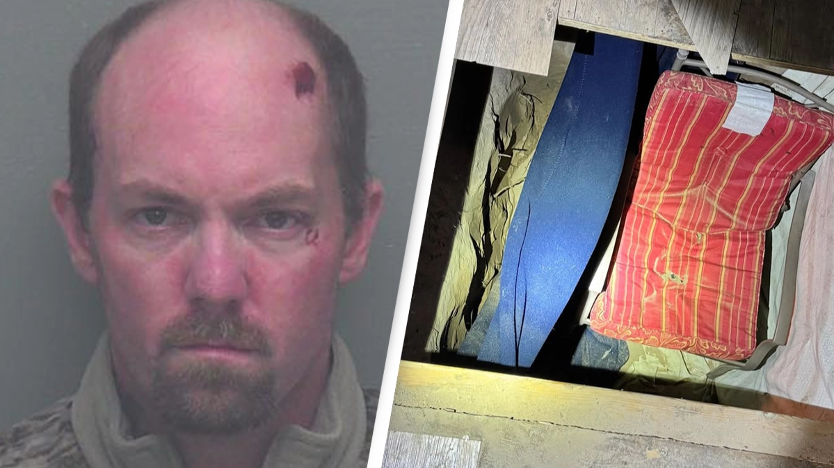 Police uncover sinister underground 'lair' beneath outhouse during search for suspected felon