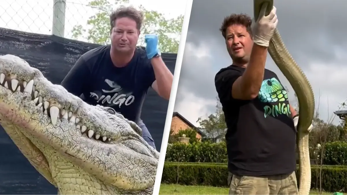 YouTuber Graham 'Dingo' Dinkelman dies aged 44 after being bitten by venomous snake