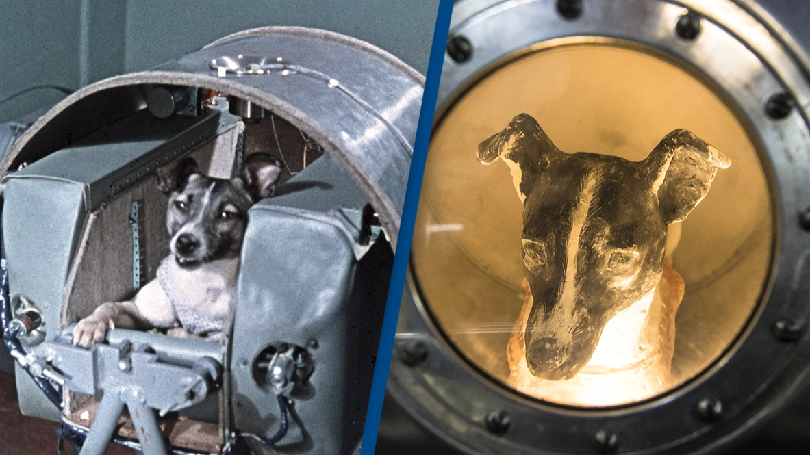Tragic final moments on Earth of first space dog Laika 'knowing she'd never come back'