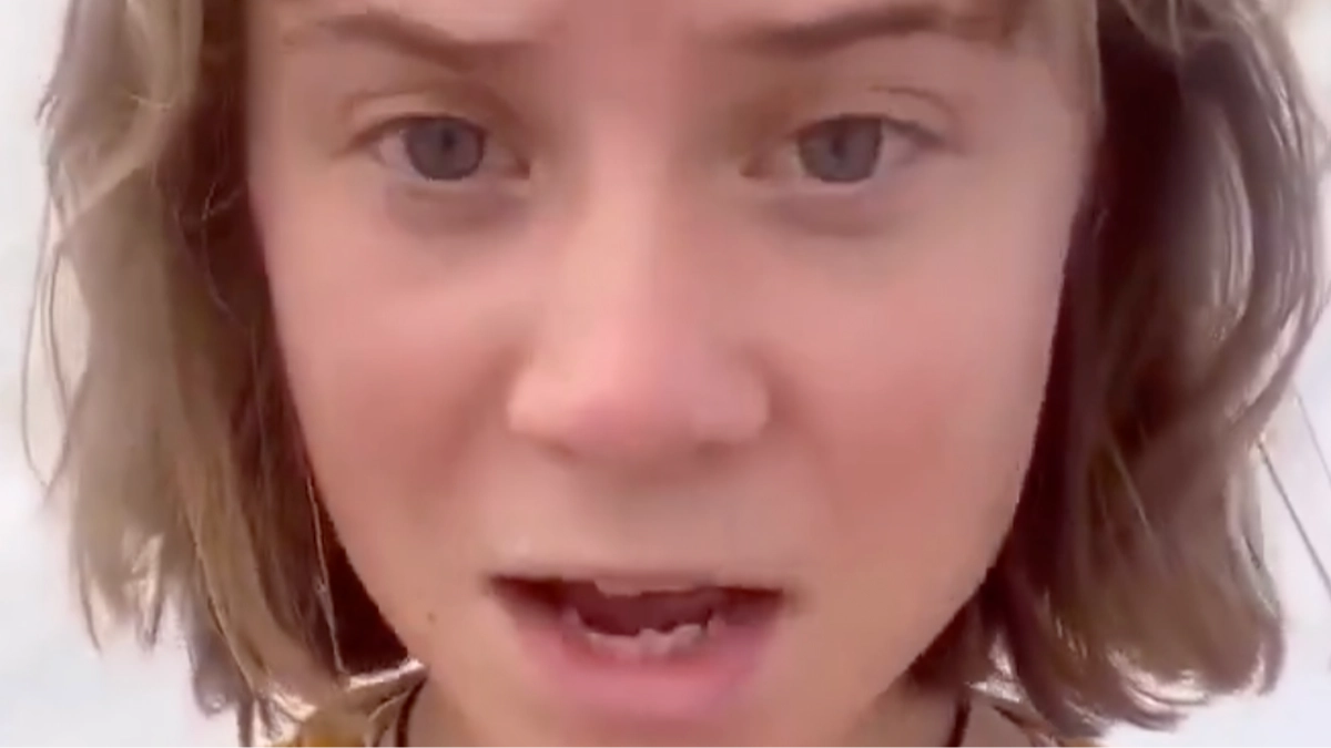 Greta Thunberg claims she's been 'abducted' by Israeli forces again in emotional video