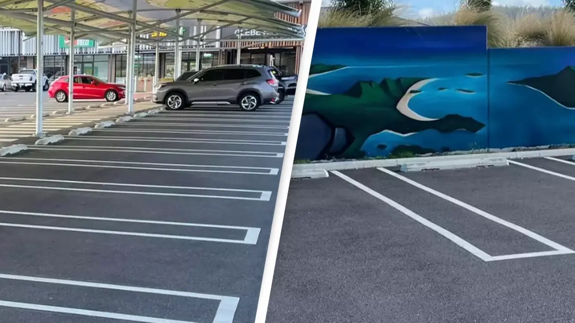 'Genius' parking lot feature has people saying it should be introduced everywhere 