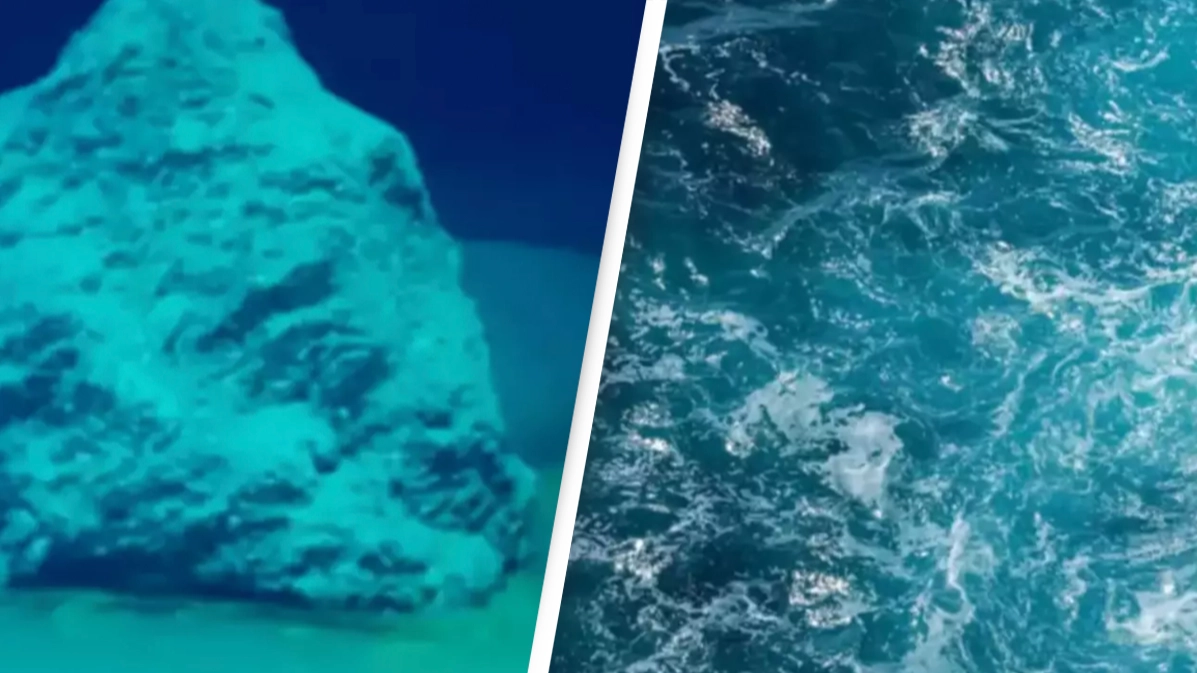 Scientists make chilling discovery after finally reaching the bottom of the Red Sea