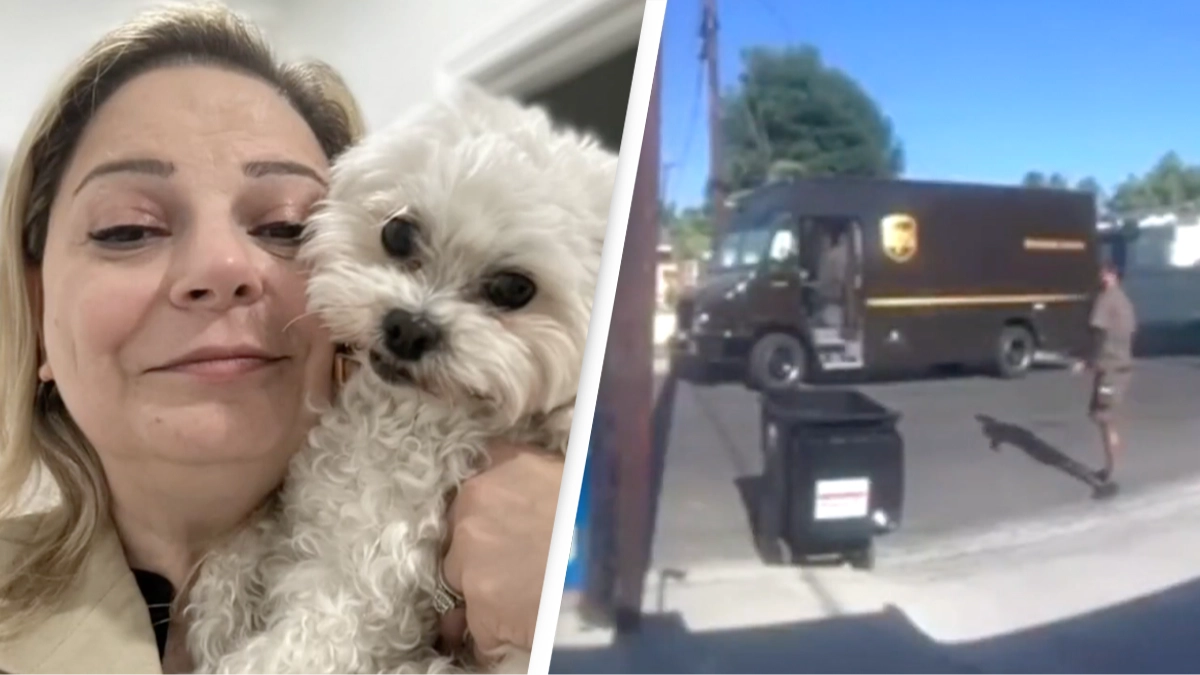 UPS driver 'crushed family dog' after they hurled 55-pound package over garden fence
