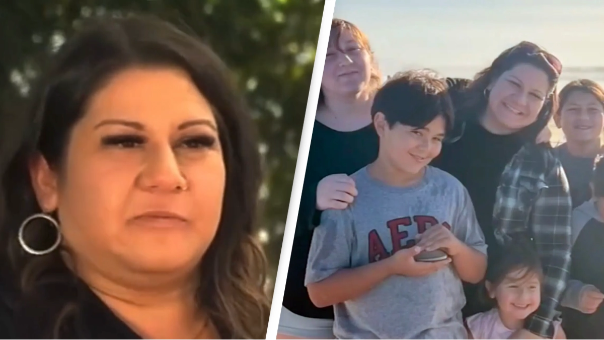 Mom fined $88,000 after kids pick up 72 clams on beach thinking they were seashells