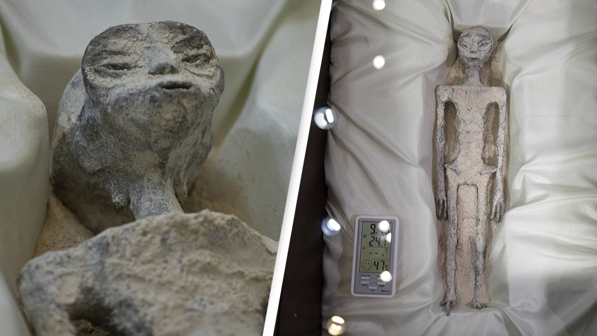 ‘Alien corpses’ unveiled by scientists confirmed as ‘not human’ after DNA revelation