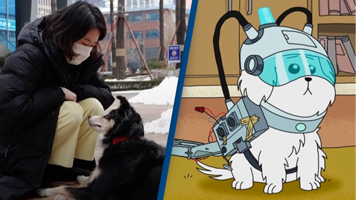 Collar that 'translates' dogs' barks in development