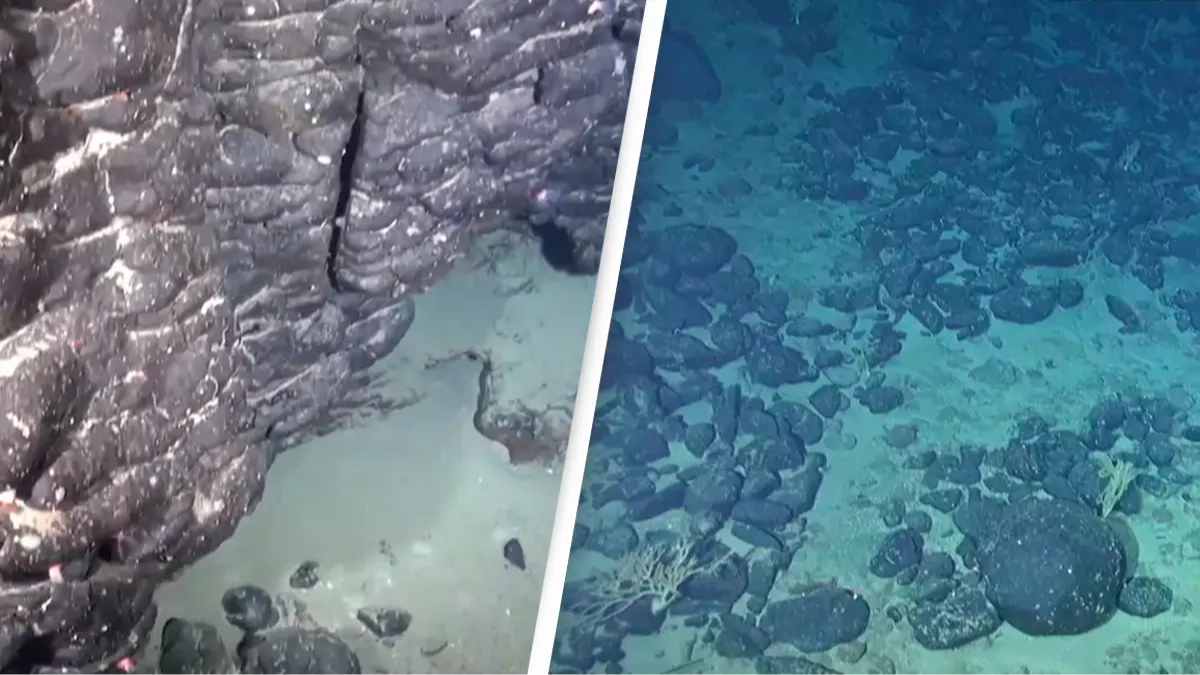 Scientists discovered long lost sunken island loaded with rare Earth minerals sparking debate over who owns it