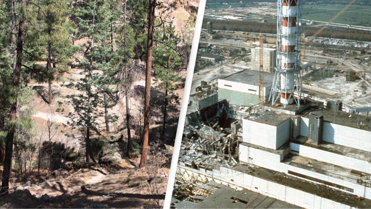 ‘Unrestricted’ US park found by expert with areas as radioactive as Chernobyl