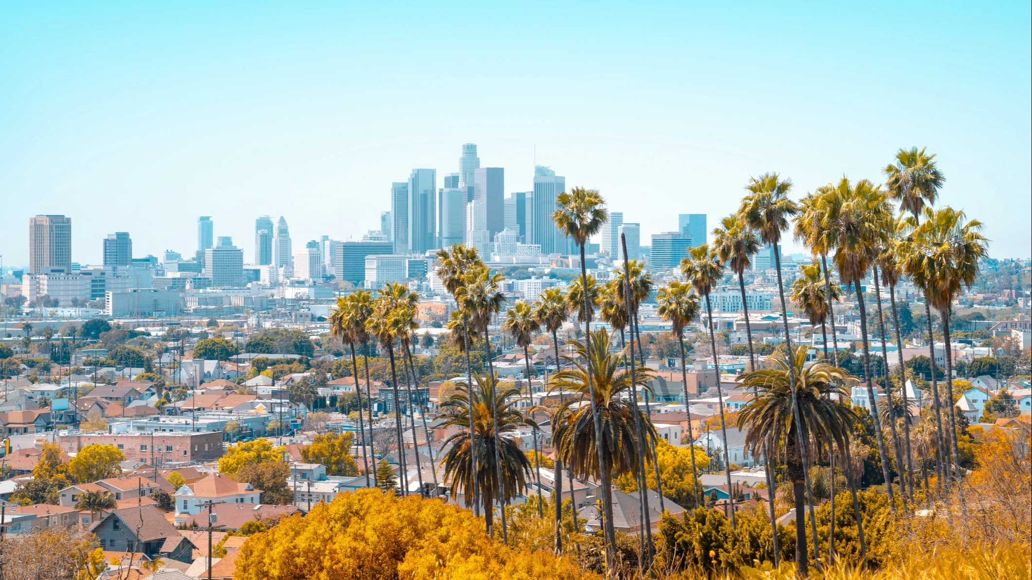 LA will be underwater by year 5,000 according to 'time traveller' with photograph