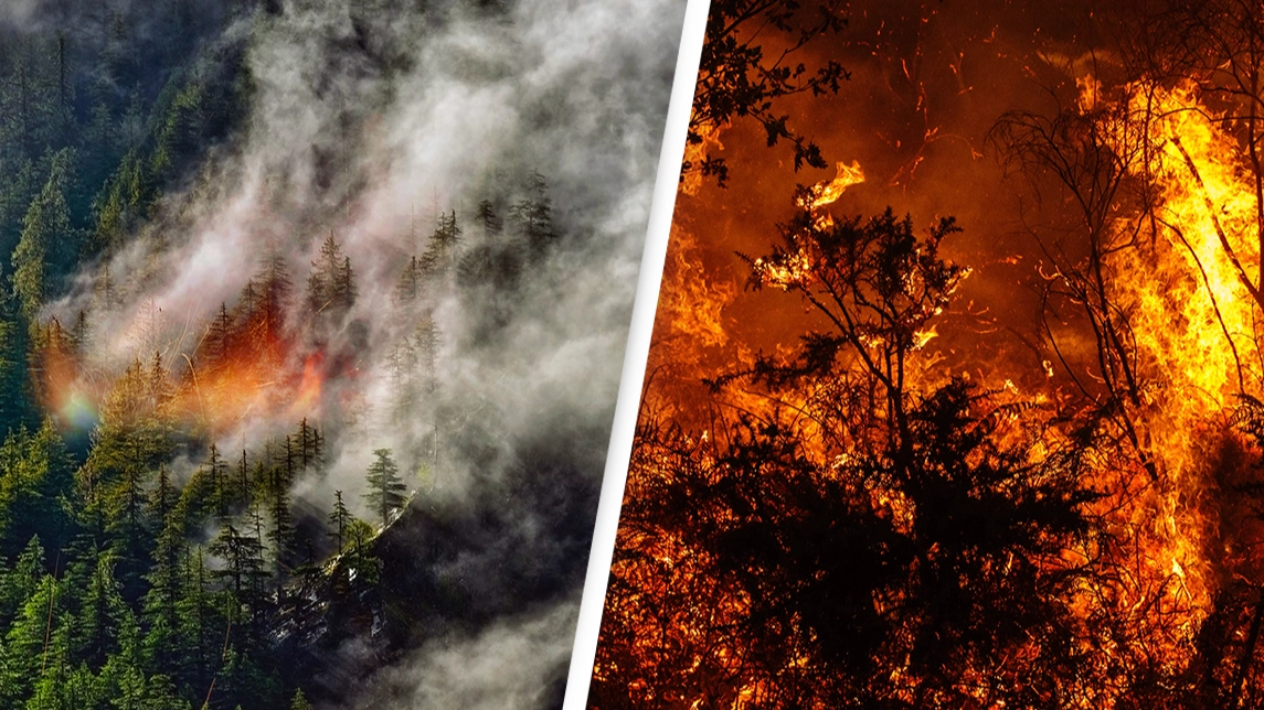 Woman 'intentionally set two wildfires because she enjoyed watching firefighters and hoped to flirt with them'