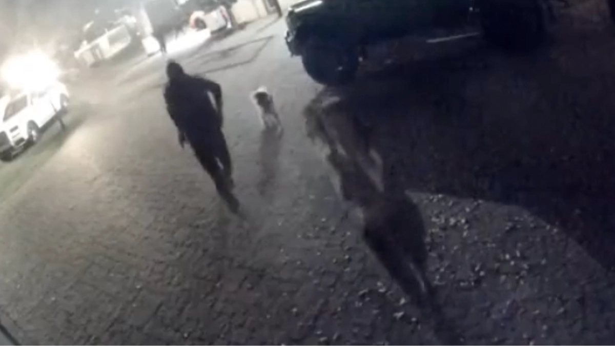 Streamer Amouranth shoots intruder after being 'pistol-whipped' during violent home invasion