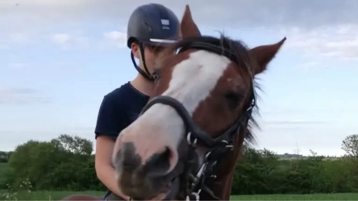 Mom explains why she doesn’t regret giving her daughter’s pony to zoo to become lion food