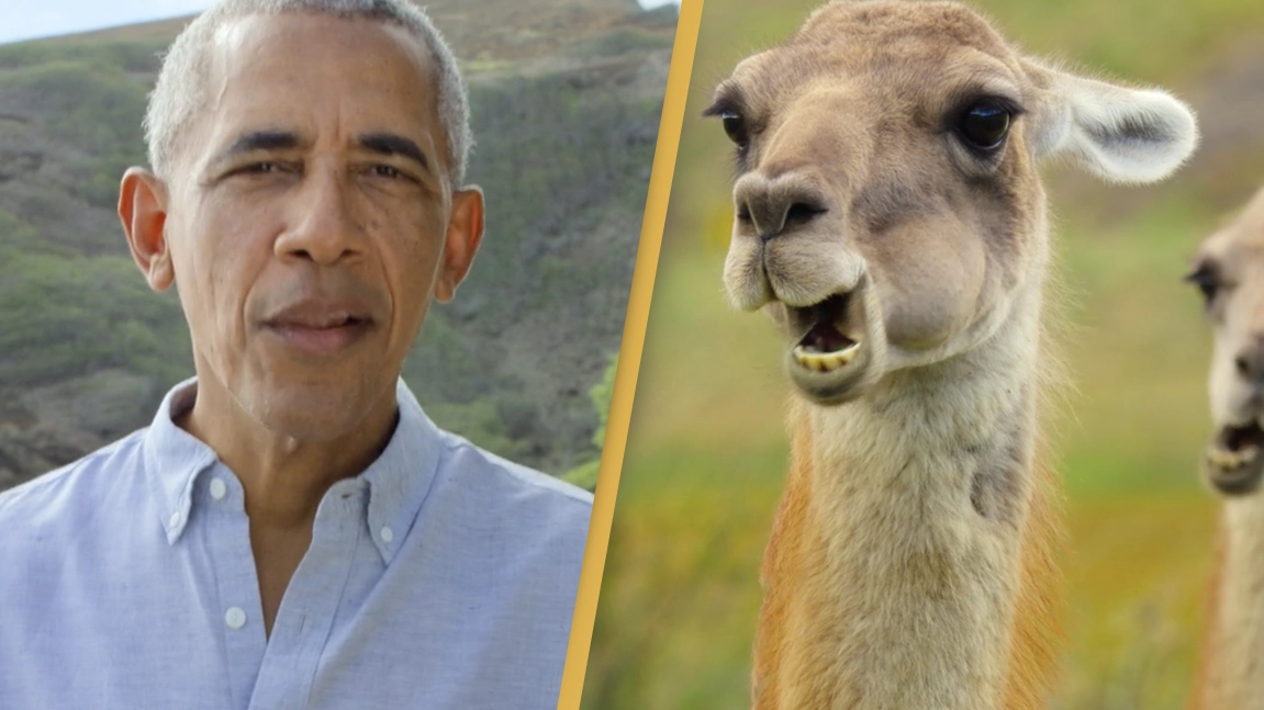 Everyone's Making The Same Observation About Barack Obama's Netflix Nature Documentary