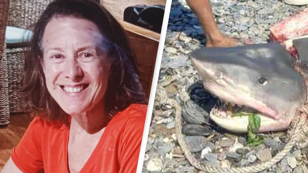 Woman eaten by shark after being swept out to sea while on dream diving vacation
