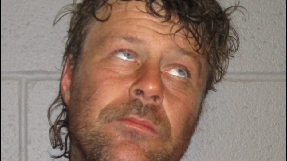 Sheriff's office makes brutal comment after naked man is arrested for surfing on top of moving train