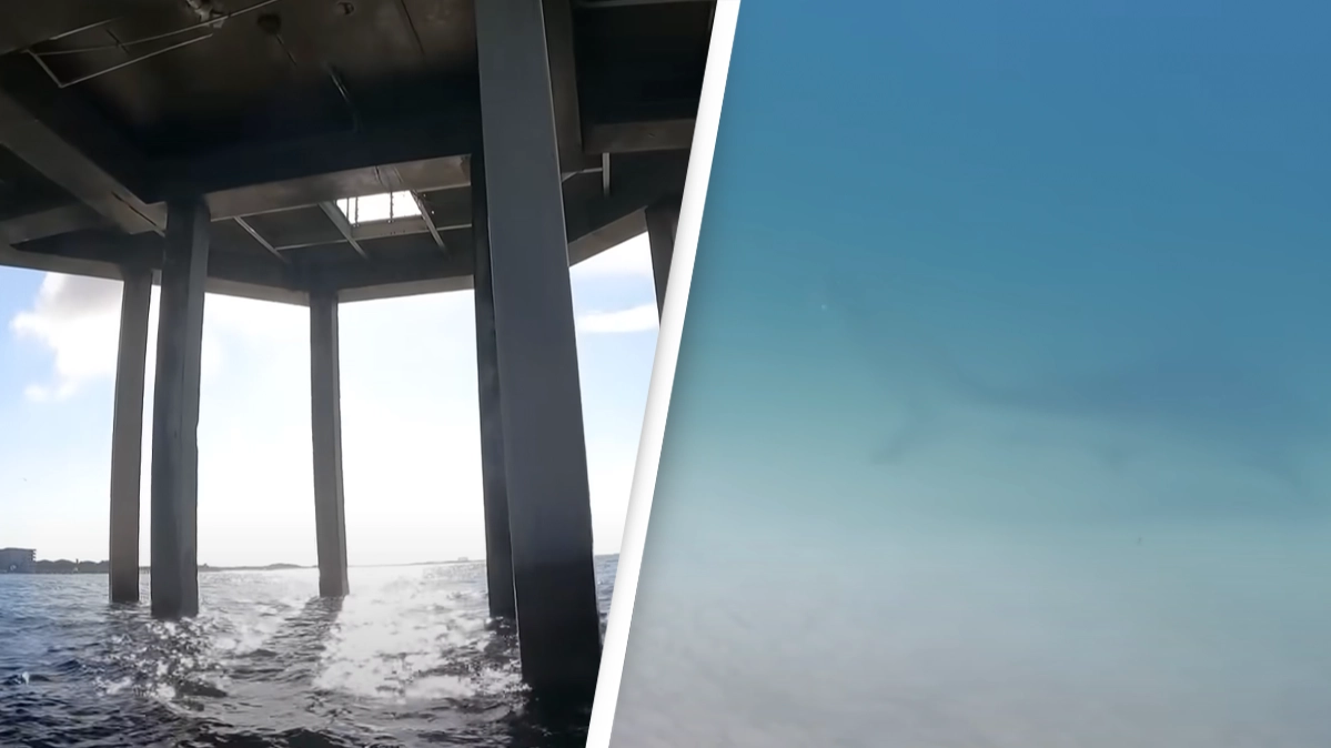 Man drops GoPro from 'world's most dangerous pier' and discovers terrifying reality of what's underneath