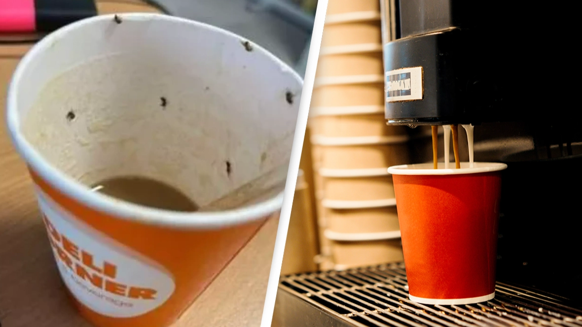 Woman left fighting for her life after drinking coffee filled with insects at airport