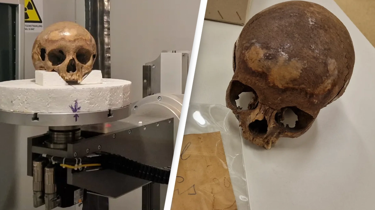Mystery surrounding skull thought to be Queen Cleopatra’s murdered sister finally solved