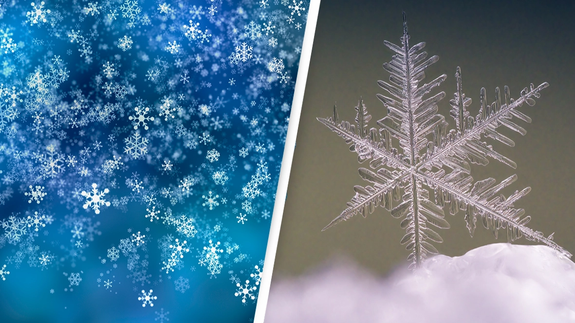 Biggest snowflake ever reported was the size of a large pizza