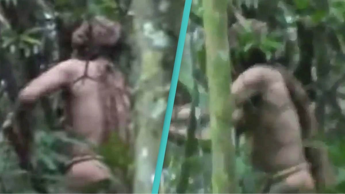 Sad story of the 'man of the hole' who chose to remain isolated in the Amazon jungle until his death