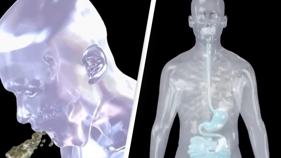 Unsettling simulation shows exactly what happens in your body when you vomit and people are horrified