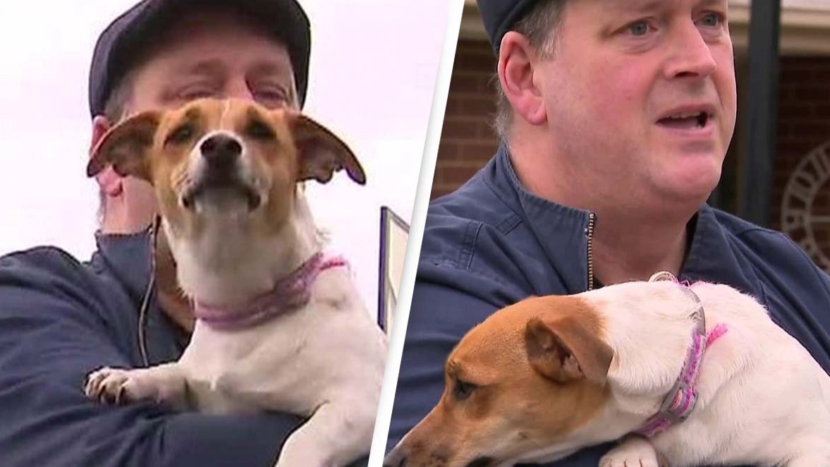 Puppy saves owner's life in incredible way after he collapsed at home alone