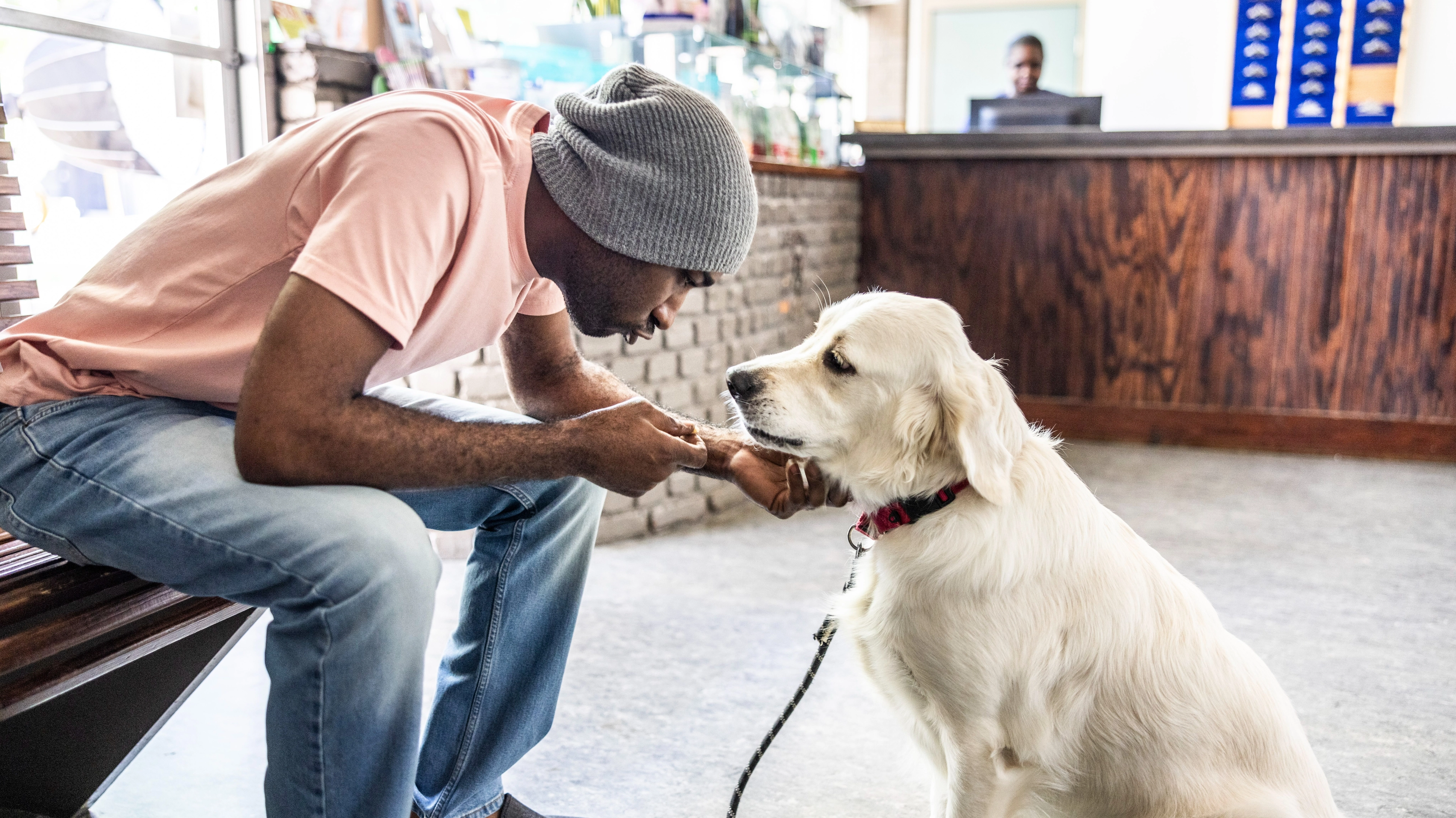 Vet makes heartbreaking request to all pet owners putting their pet down
