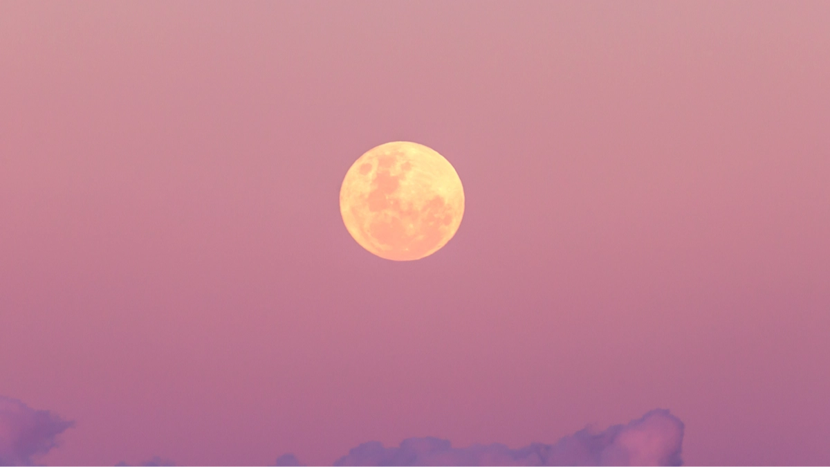 How to see rare pink ‘micromoon’ that will be visible this weekend