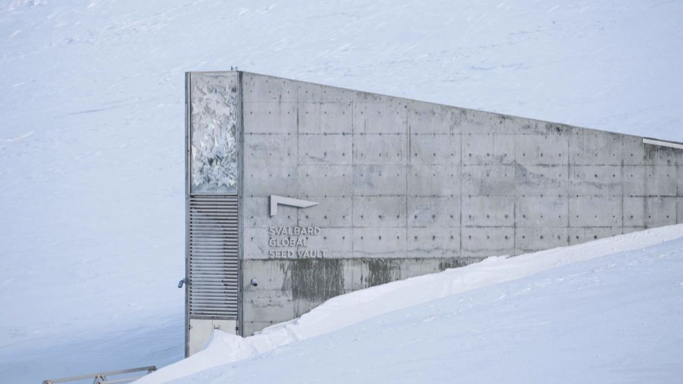 Inside the hidden ‘doomsday’ vault that’s designed to save humanity