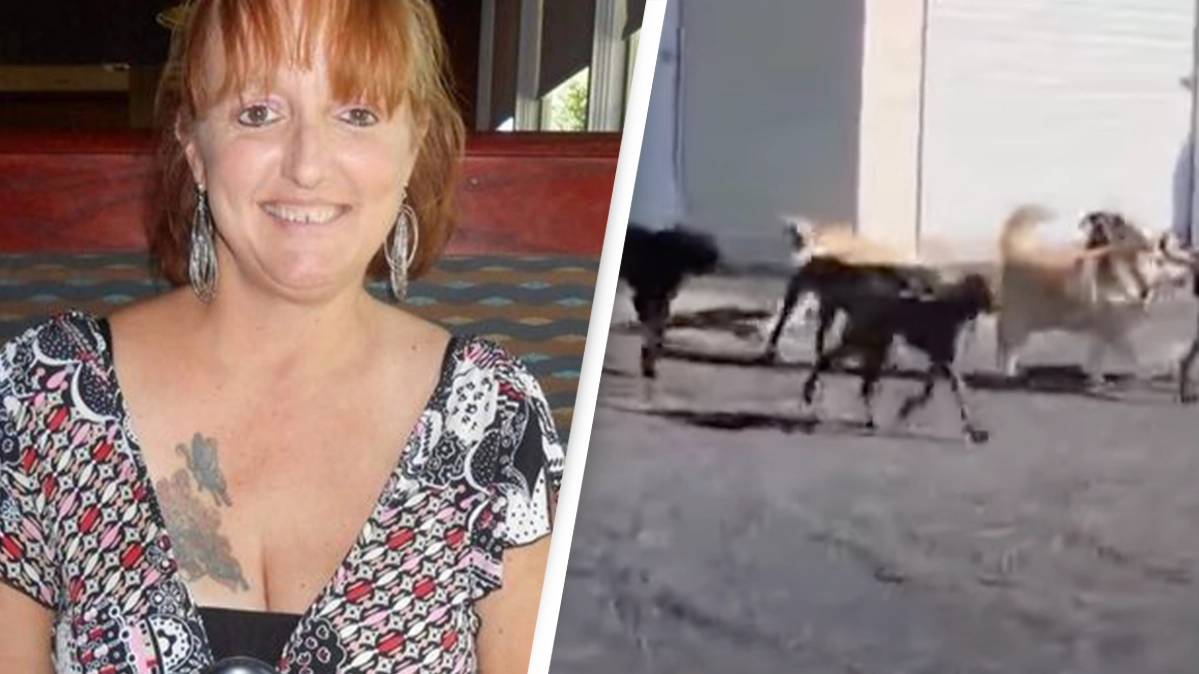 Mom mauled to death by pack of 25 dogs after neighbors complained about them terrorizing the community