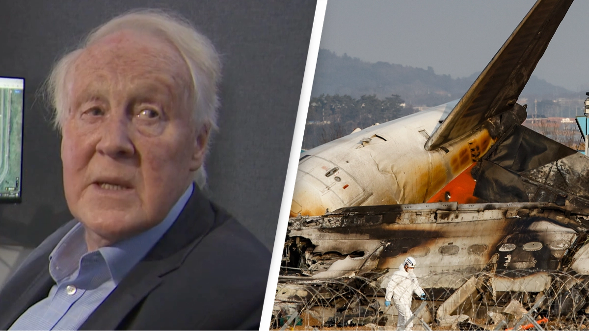 Aviation expert reveals the one 'criminal' error involved in South Korea plane crash that caused the deaths of 179 people