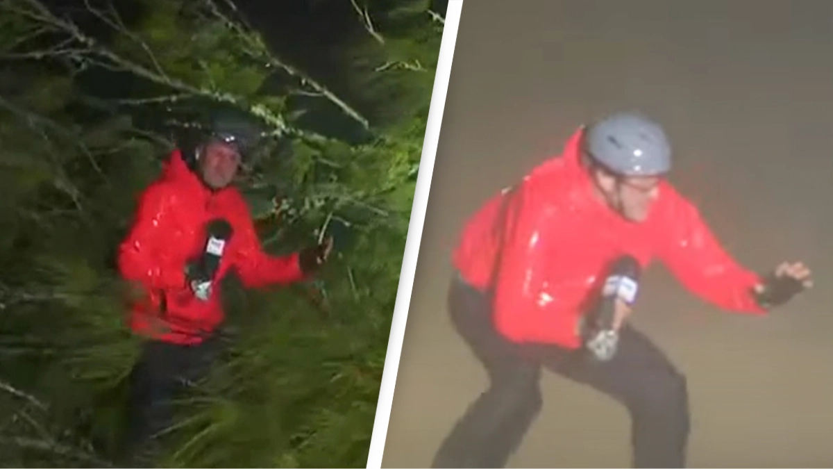 Shocking moment reporter almost gets crushed by falling tree while covering Hurricane Milton
