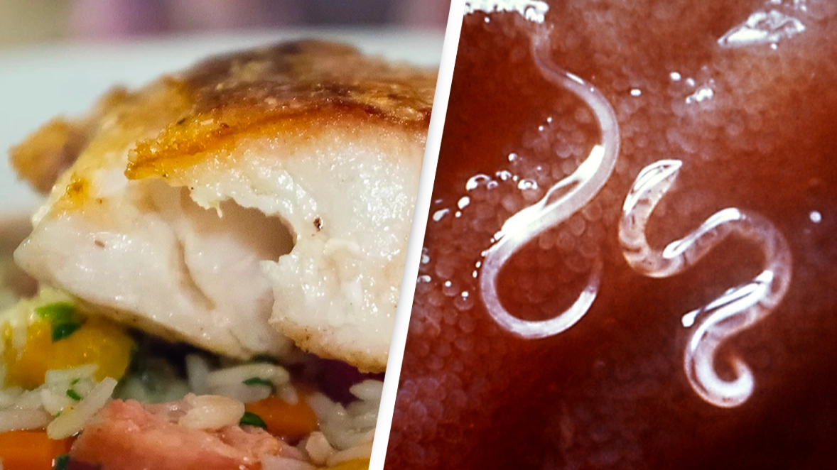 People horrified after finding out almost every kind of wild fish is infected with worms