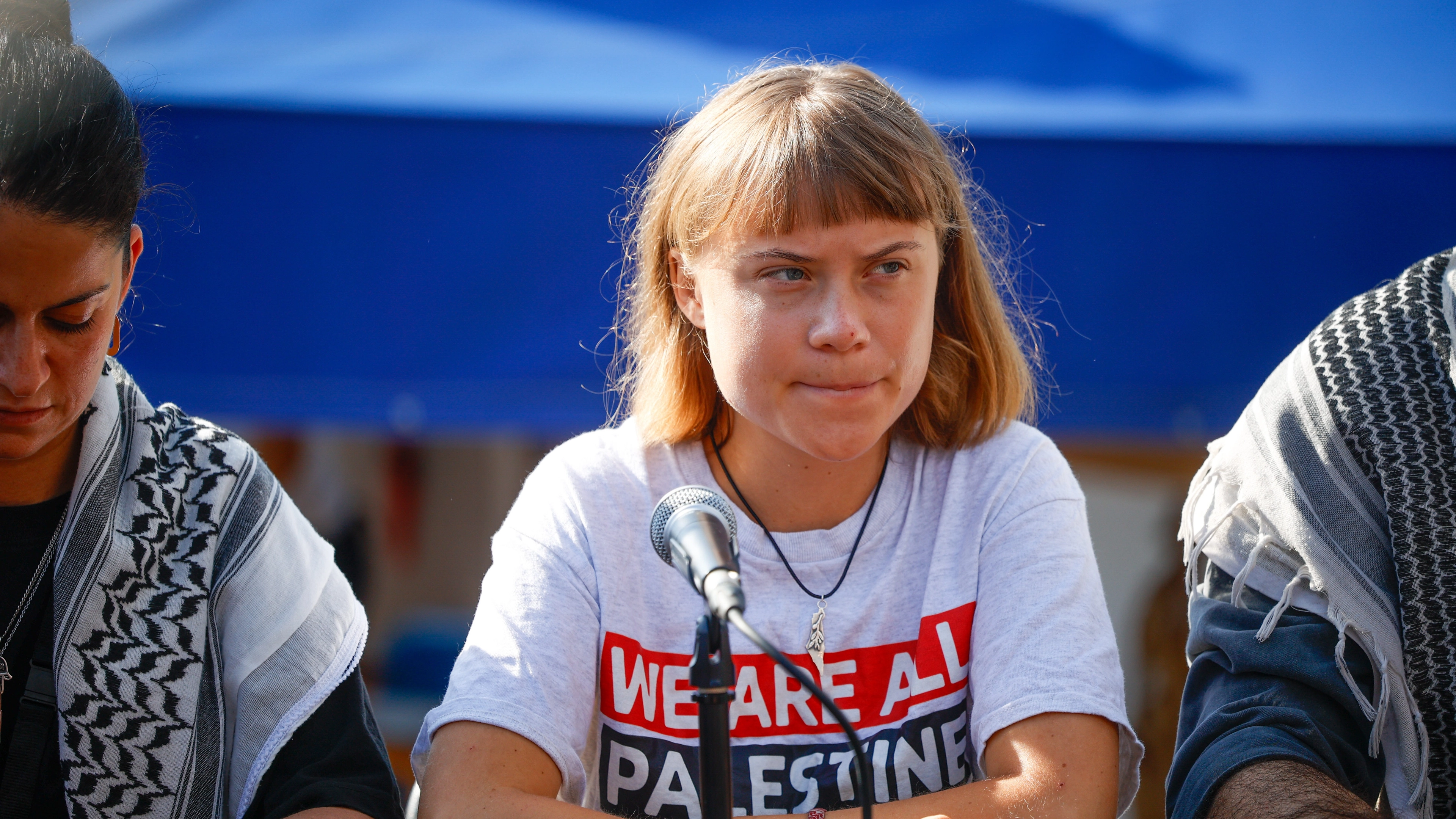 ‘Mistreated’ Greta Thunberg allegedly ‘forced to hold flags’ and kept in ‘bedbug-infested cell’ while detained in Israel