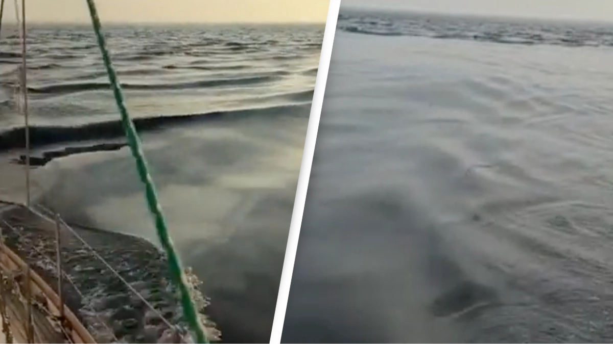 Sailors trigger 'glitch in the matrix' as they witness extremely weird water phenomenon while out boating