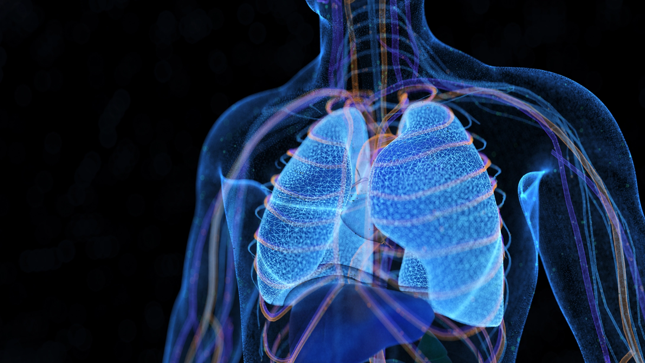 Terrifying simulation shows exactly what happens to your body when smoking