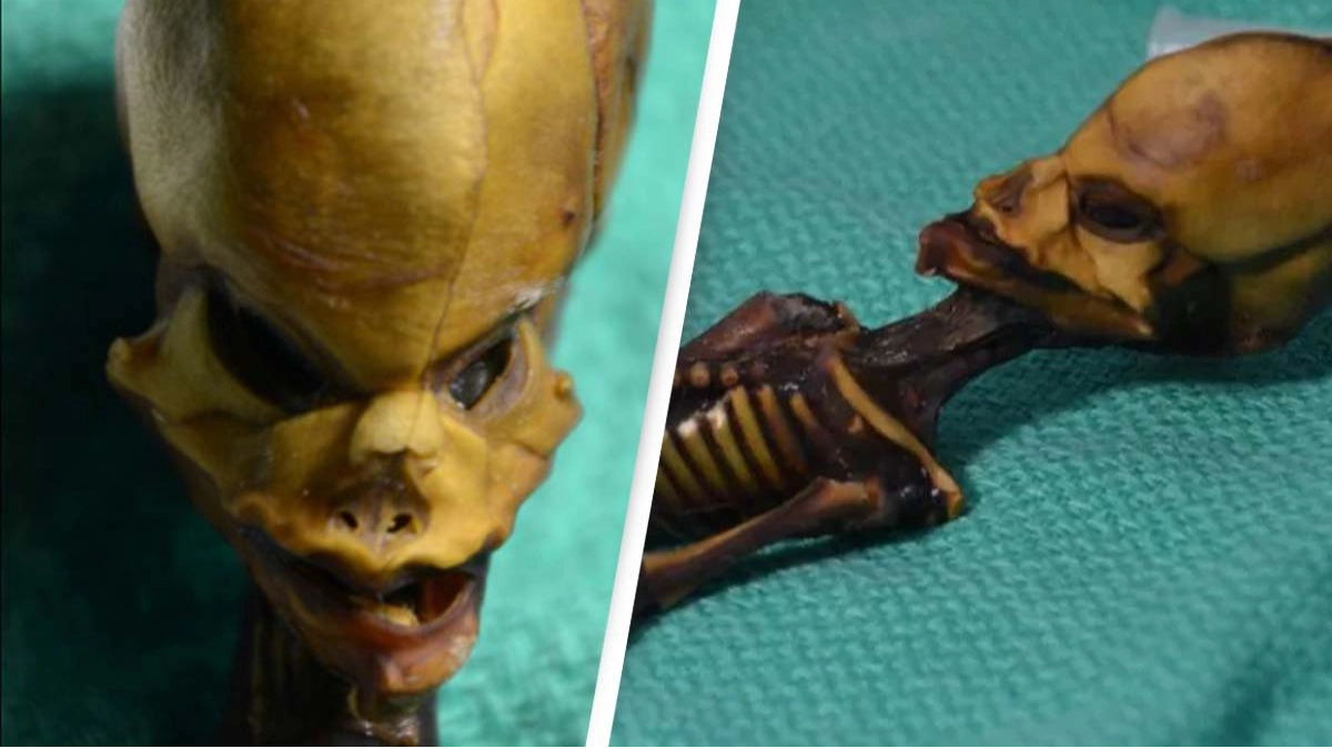 Mystery of ‘atacama alien’ solved after genetic analysis
