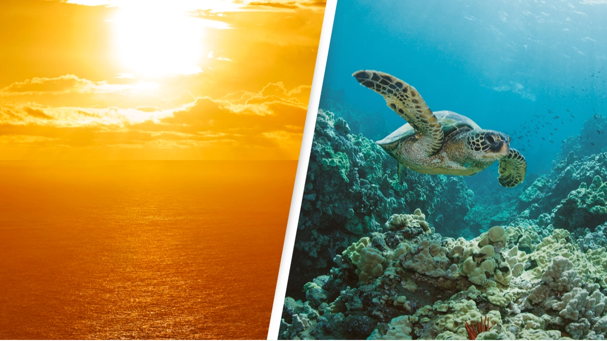 Hottest ever temperature recorded in oceans that leaves grim implications for planet