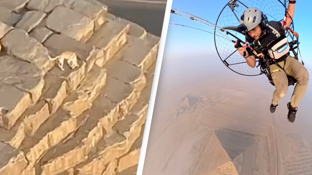 Footage of dog at the top of 455ft Pyramid of Giza is leaving people baffled