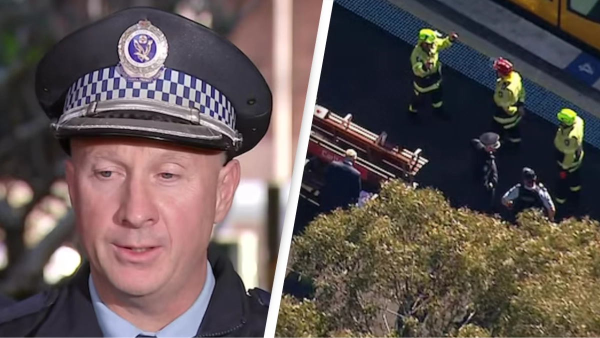 Father's last 'heroic' moments revealed after stroller rolls onto train tracks killing himself and daughter