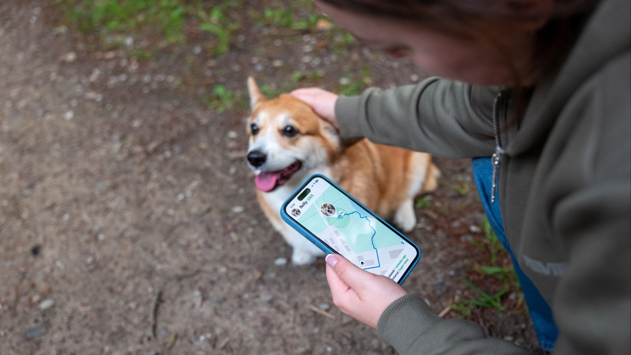 Pet owners are using Amazon tracker to monitor their furry friends