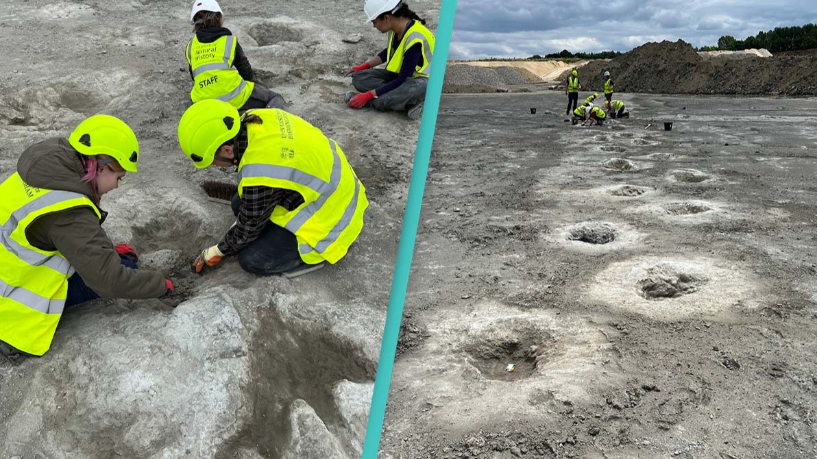 Hundreds of dinosaur footprints found in quarry by researchers in extremely 'rare' discovery