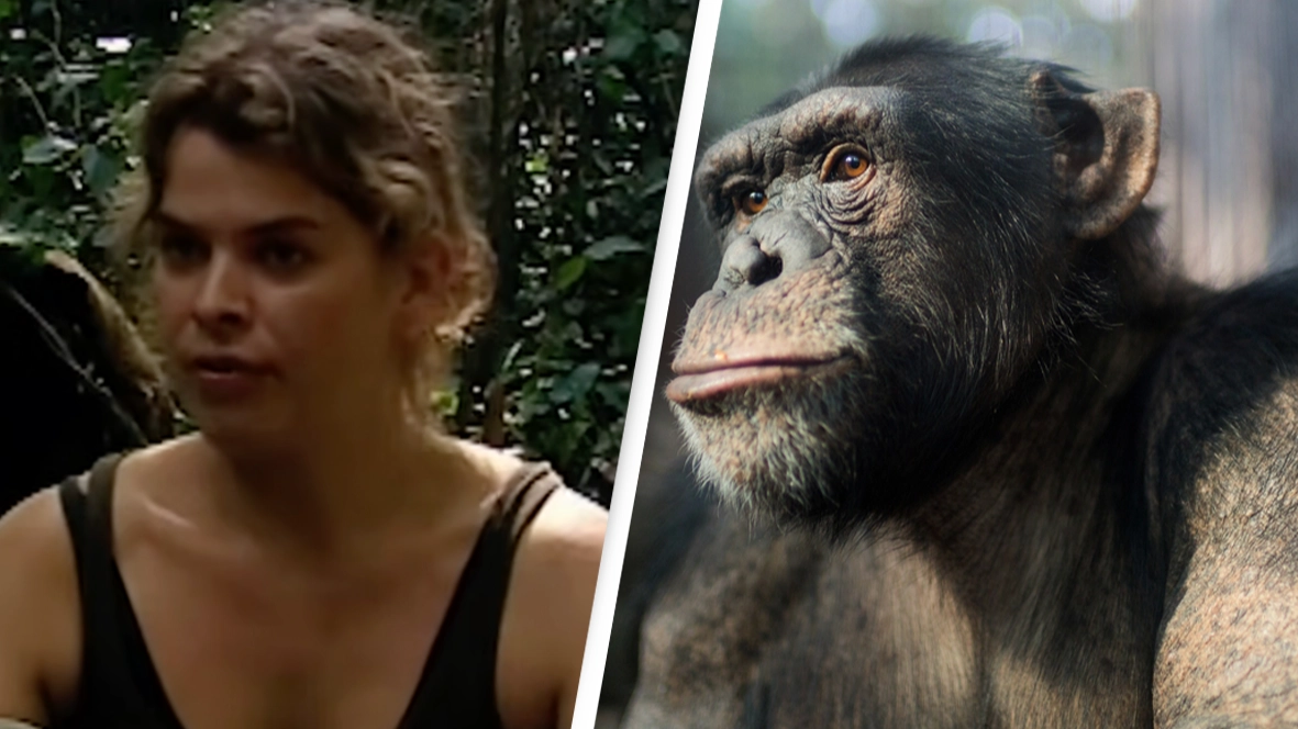 Woman recalls the moment she watched herself being ‘eaten alive’ by chimpanzee