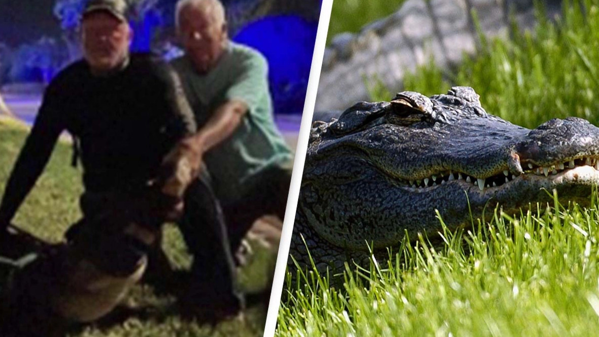 Man attacked and dragged to pond by 11ft alligator survives thanks to neighbor's quick thinking