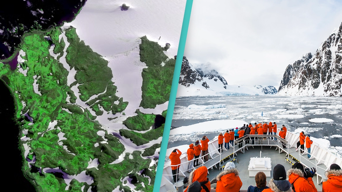 Scientists have 'serious concerns' after image shows Antarctica turning green at ‘dramatic’ rate