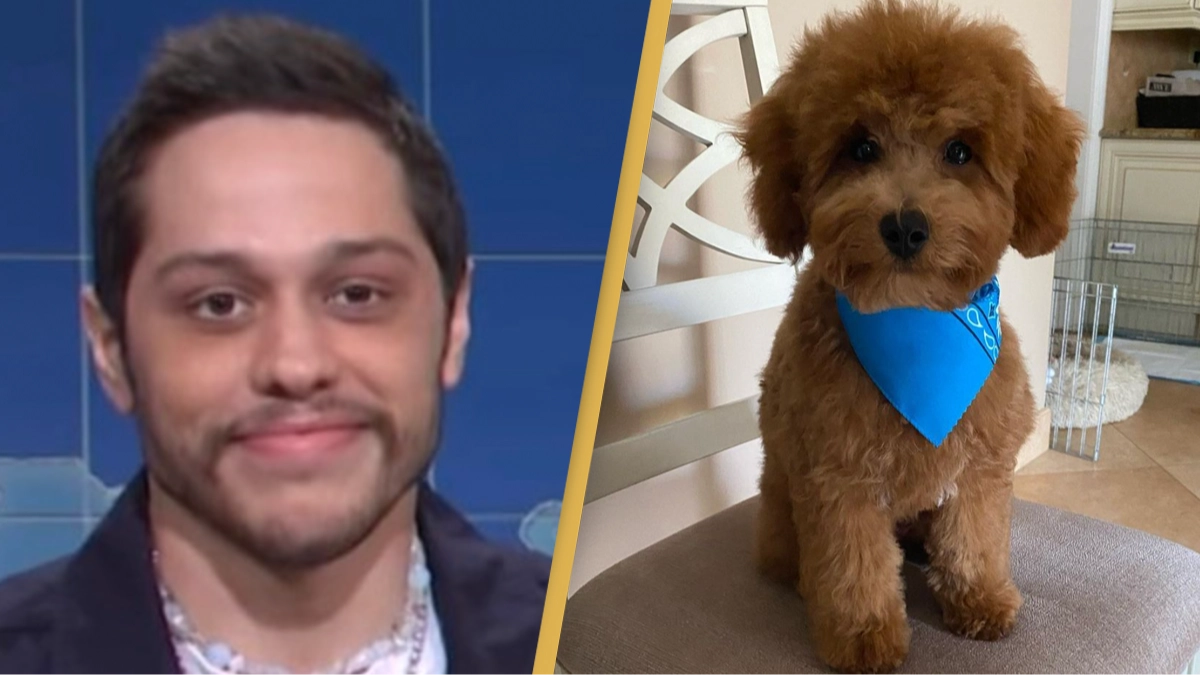 Pete Davidson announces his dog has sadly died aged 2
