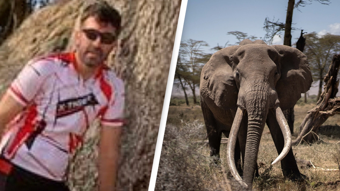 Man gets trampled to death by elephants in front of fiancée as disturbing details emerge