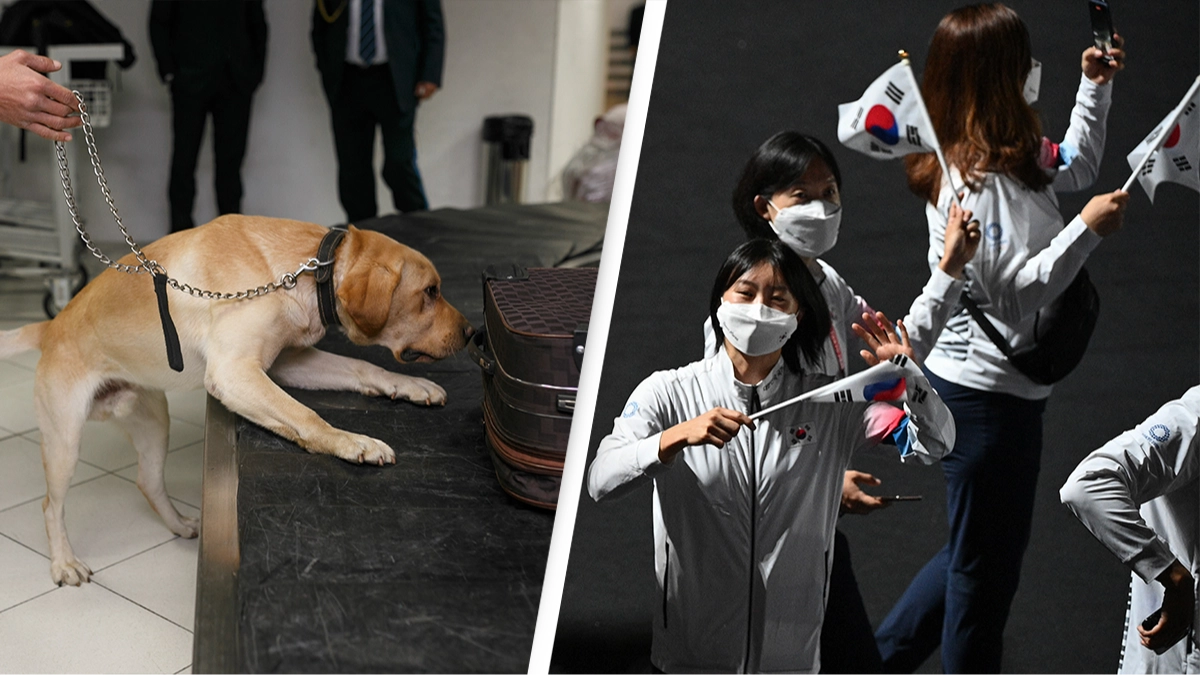 South Korea is using a sniffer dog to greet its Olympic athletes and fans at airport for bizarre reason