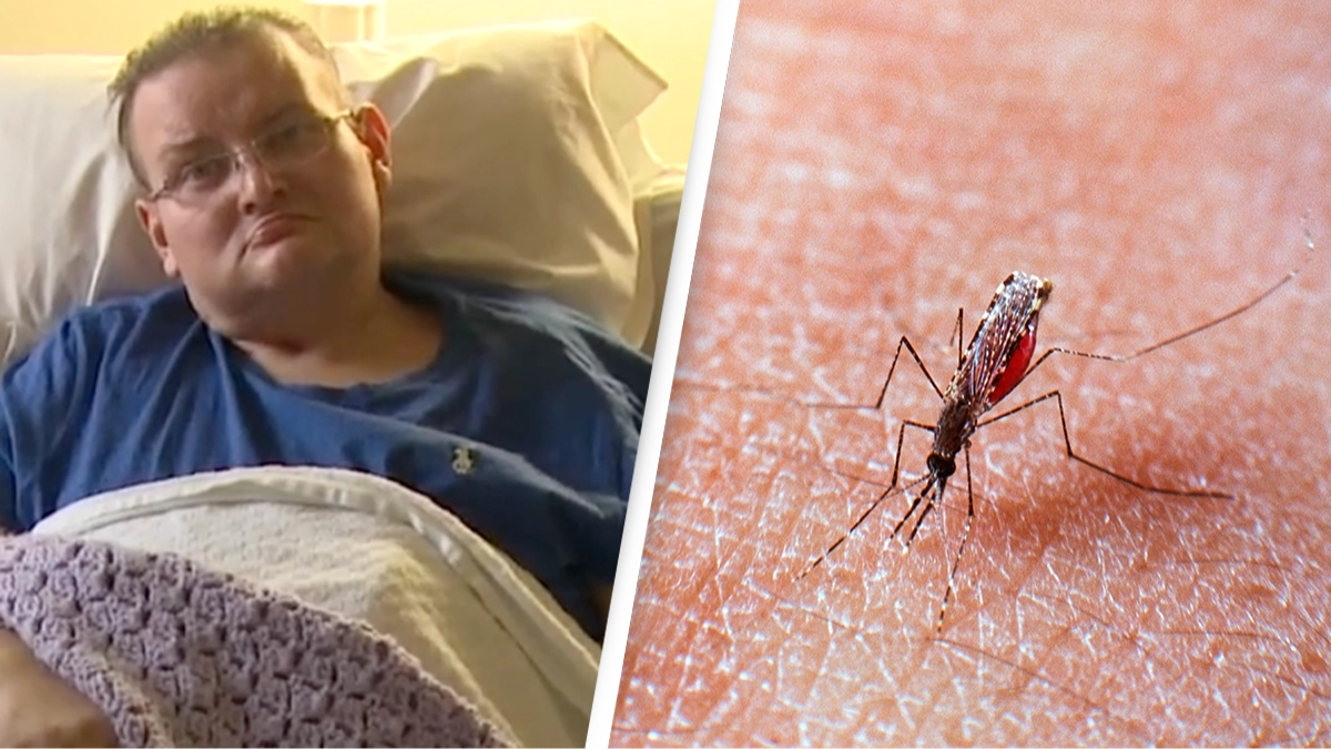 Man dies after mosquito bite led to rare brain disease